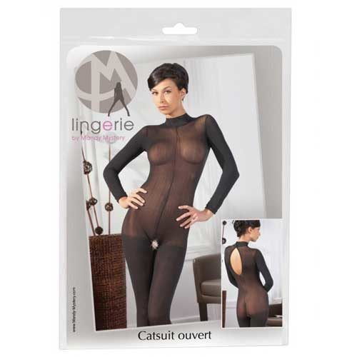 Sheer Long Sleeve Open Crotch Catsuit