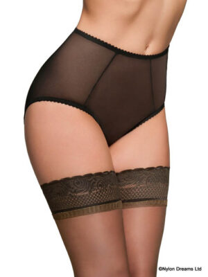 betty panties sheer front view