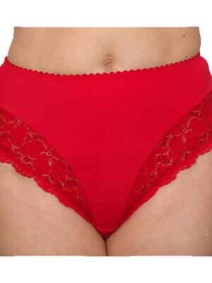 berdita deep briefs red