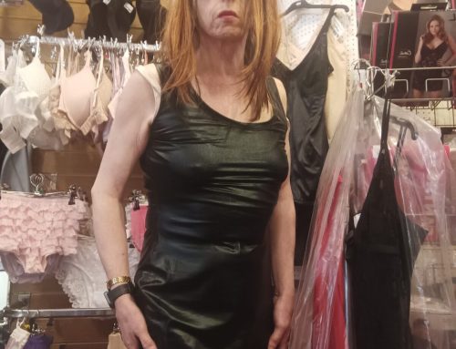 Why i started Lacies Fantasy Shopping – by owner Sue A Sheppard